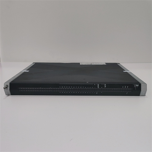 HIMA X-AI3201 985210213 (3)