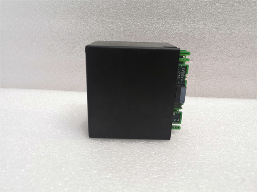 GE IC670ALG310-JA (3)