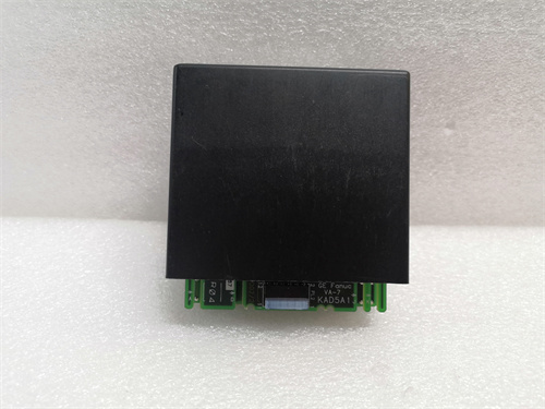 GE IC670ALG310-JA (4)