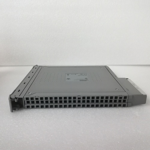 ICS TRIPLEX T8461C(5)