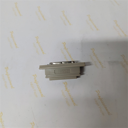 ABB TB852 3BSC950263R1 (2)