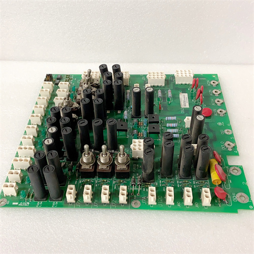 DS200TCPDG2BEC (4)