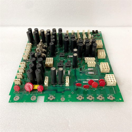 DS200TCPDG1BEC (4)
