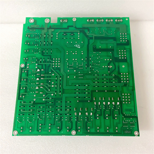 DS200TCPDG2BEC (5)